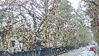 area3-20250411105028.jpg