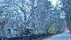 area3-20250412050029.jpg