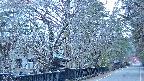 area3-20250412051029.jpg