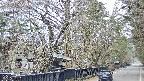 area3-20250412081028.jpg