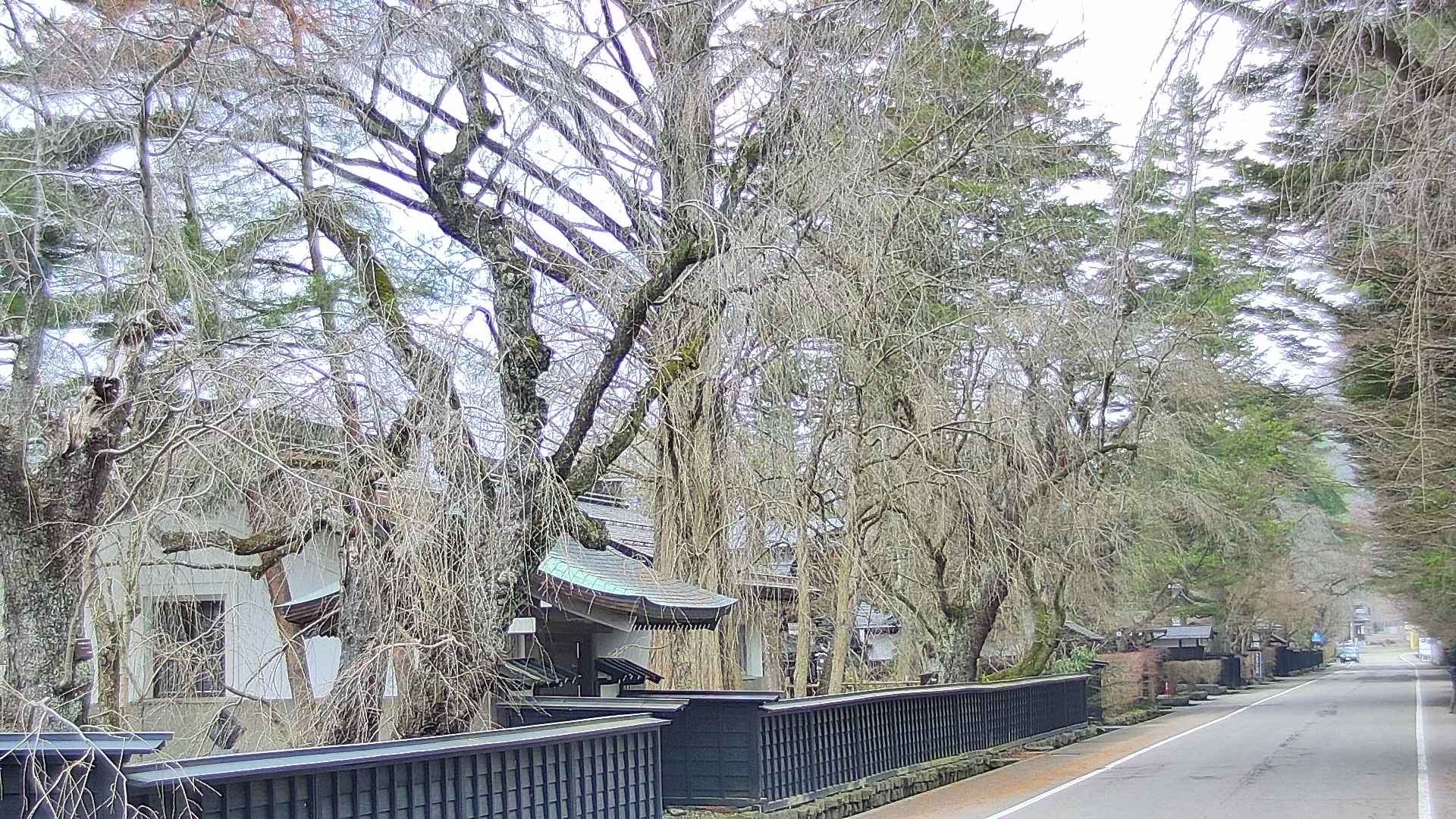 area3-20250412083028.jpg