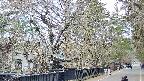 area3-20250412135030.jpg