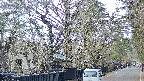 area3-20250412155027.jpg