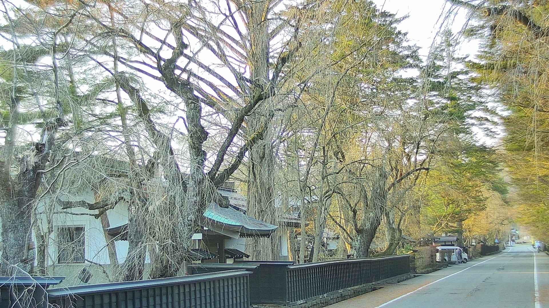 area3-20250412173029.jpg