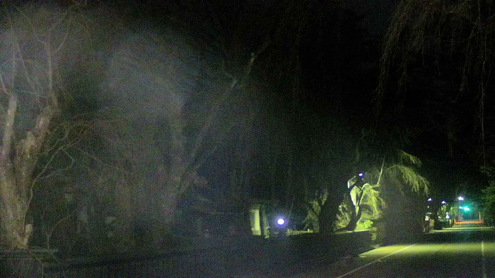 area3-20250412194026.jpg