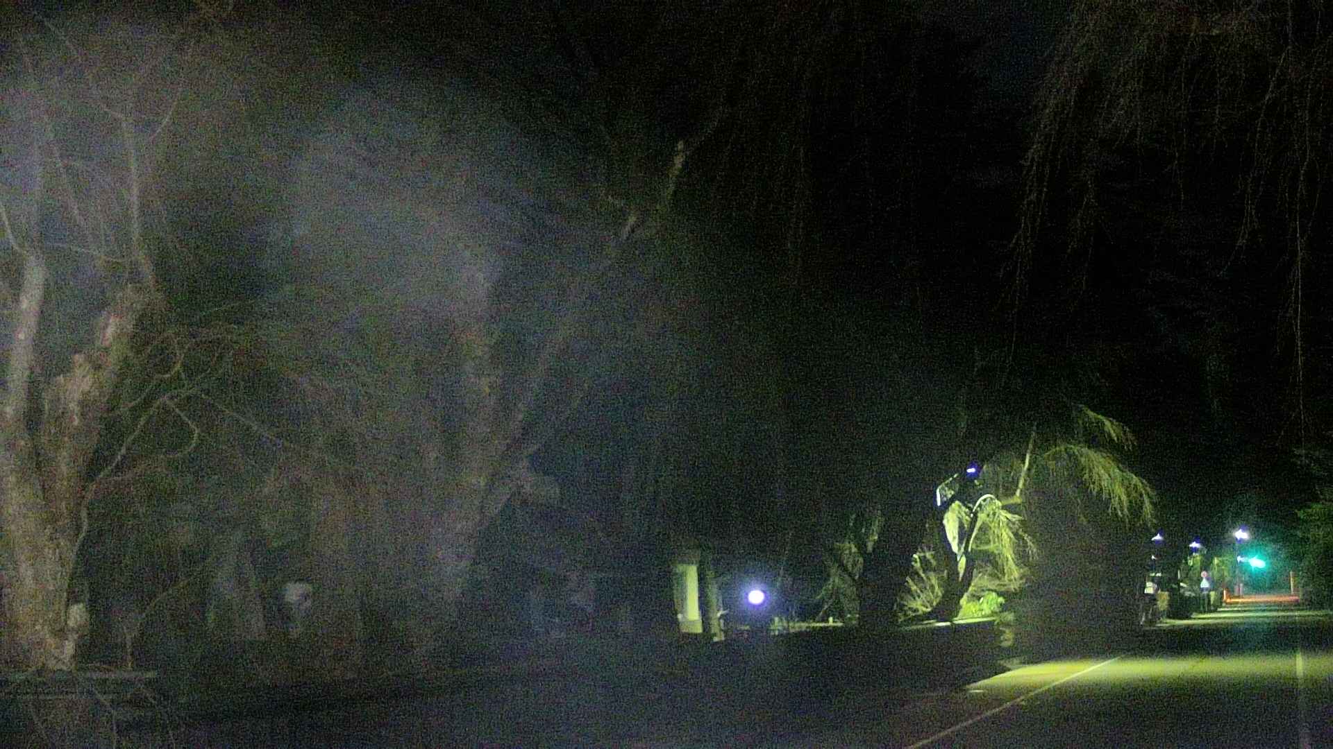 area3-20250412211026.jpg