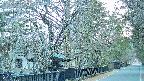 area3-20250413050029.jpg
