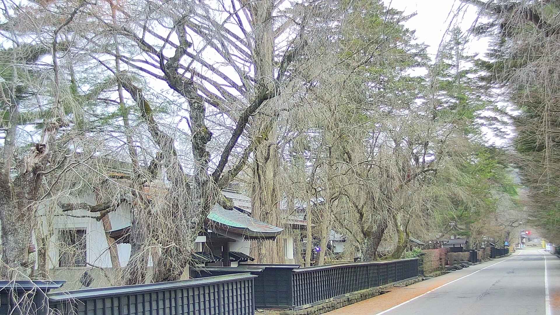 area3-20250413053027.jpg