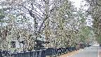 area3-20250413055028.jpg