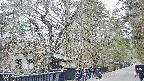 area3-20250413132028.jpg