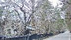 area3-20250413175029.jpg