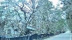 area3-20250413181028.jpg