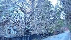 area3-20250414050028.jpg