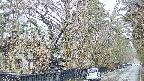 area3-20250414115030.jpg
