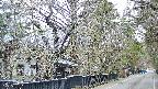 area3-20250414173030.jpg