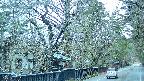 area3-20250414180028.jpg