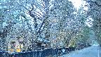 area3-20250414181030.jpg