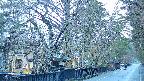 area3-20250415175029.jpg