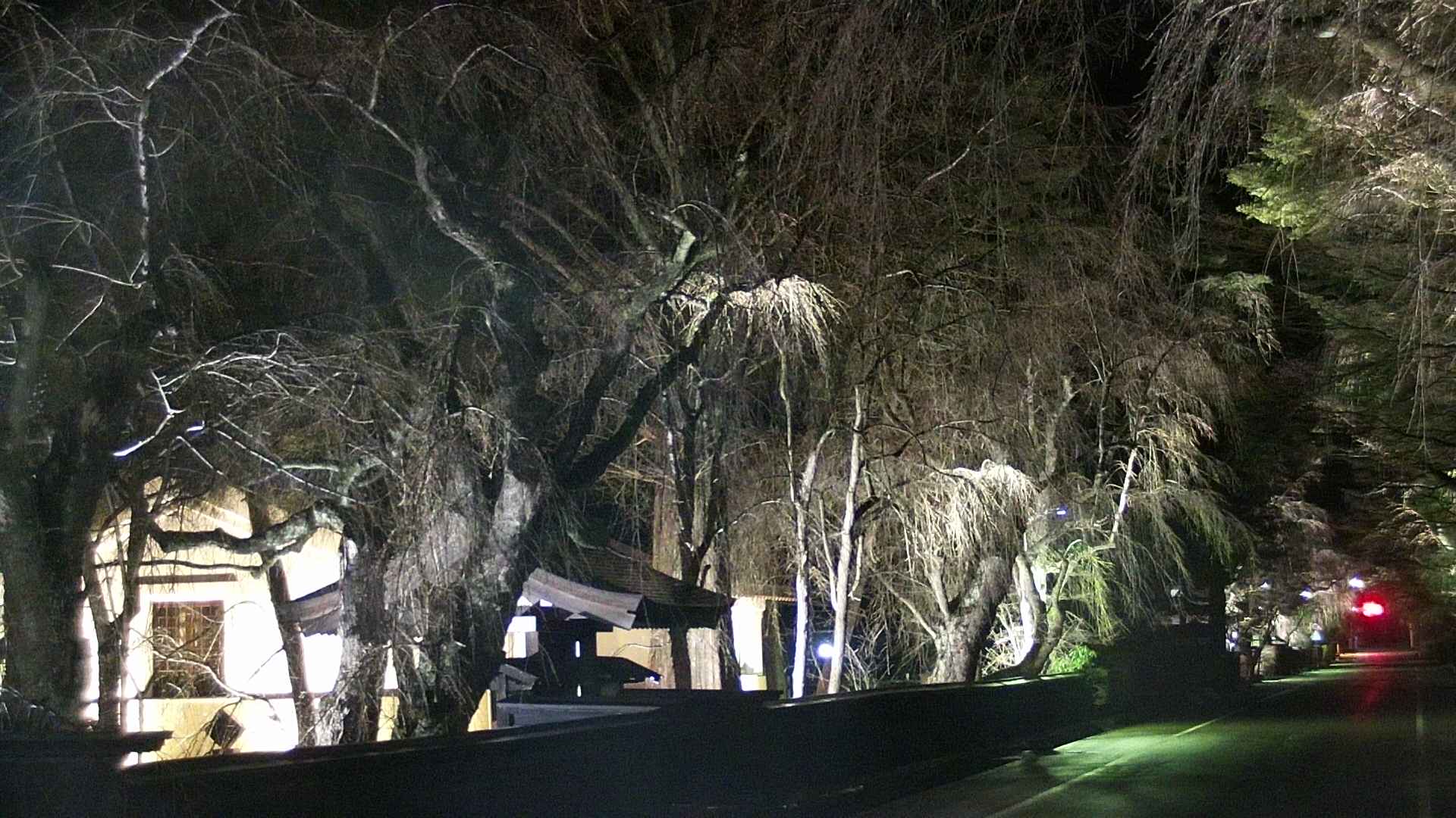 area3-20250415193028.jpg