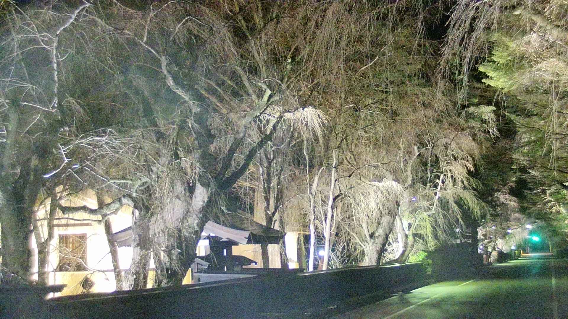 area3-20250415211028.jpg