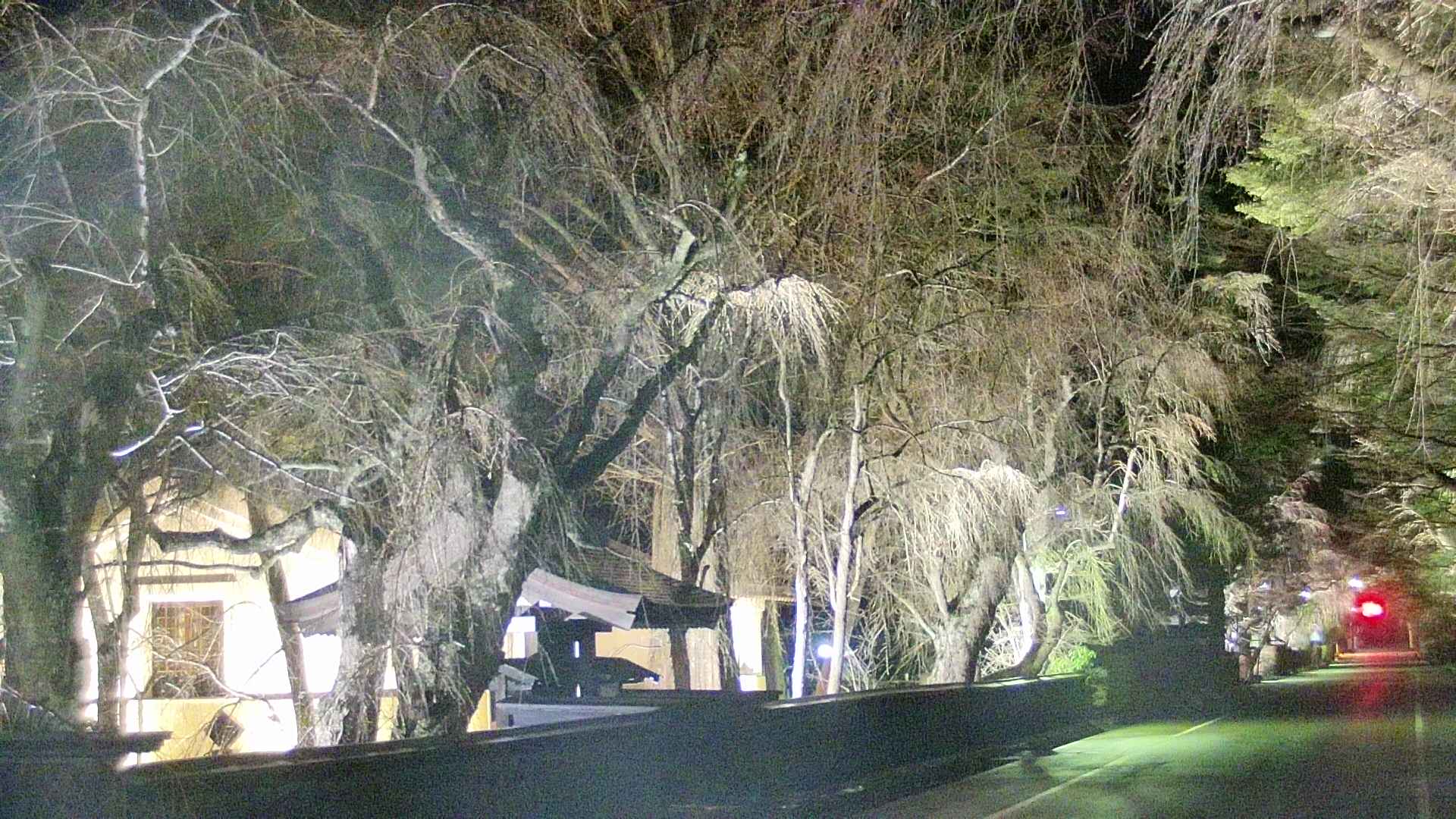 area3-20250415214028.jpg
