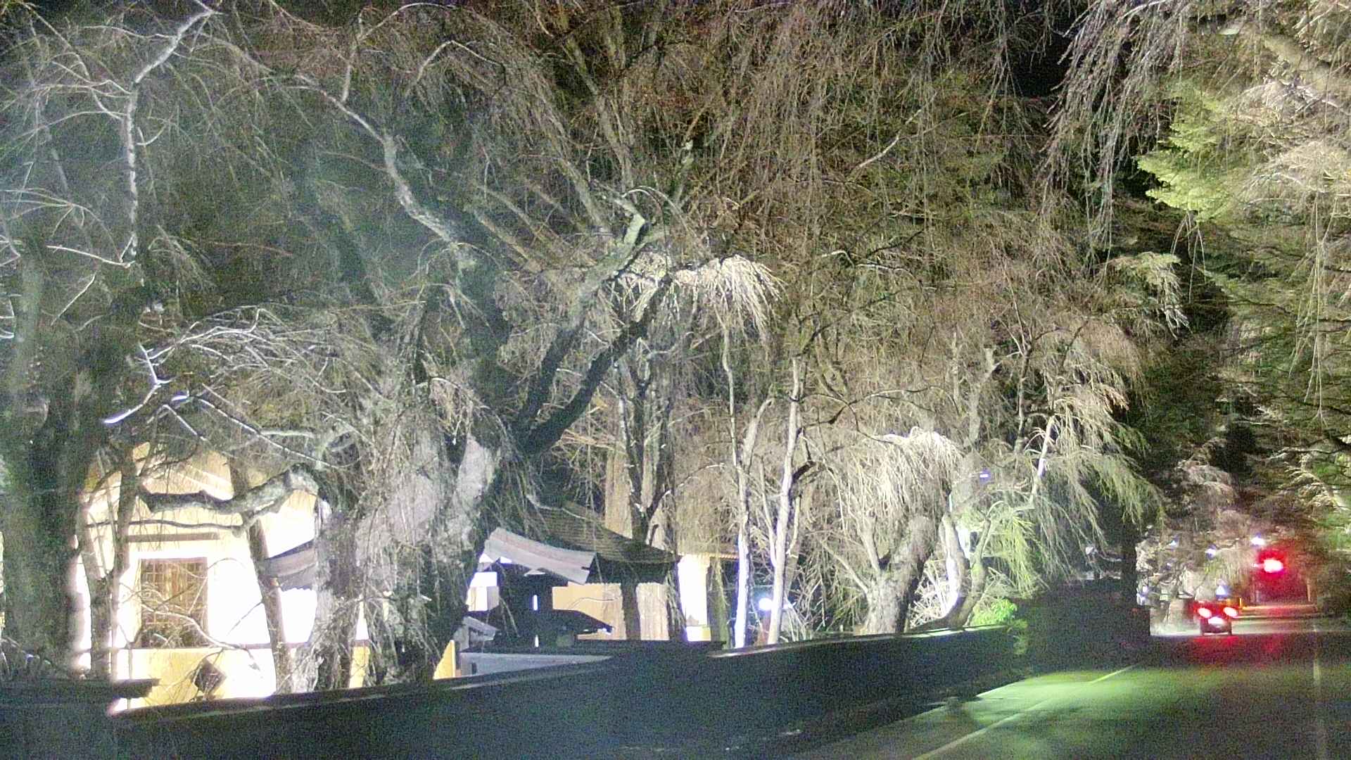 area3-20250415215029.jpg