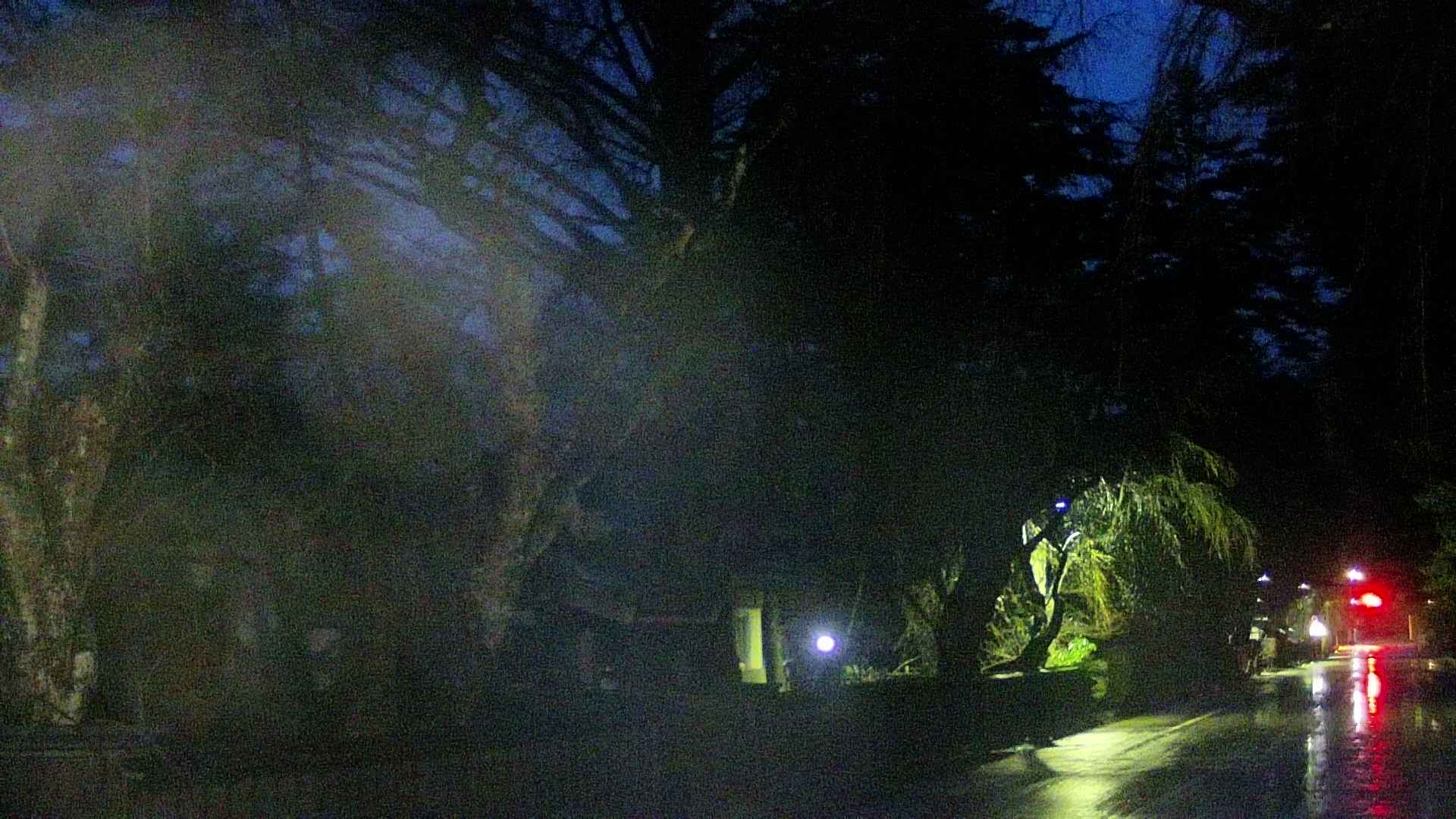 area3-20250416043032.jpg
