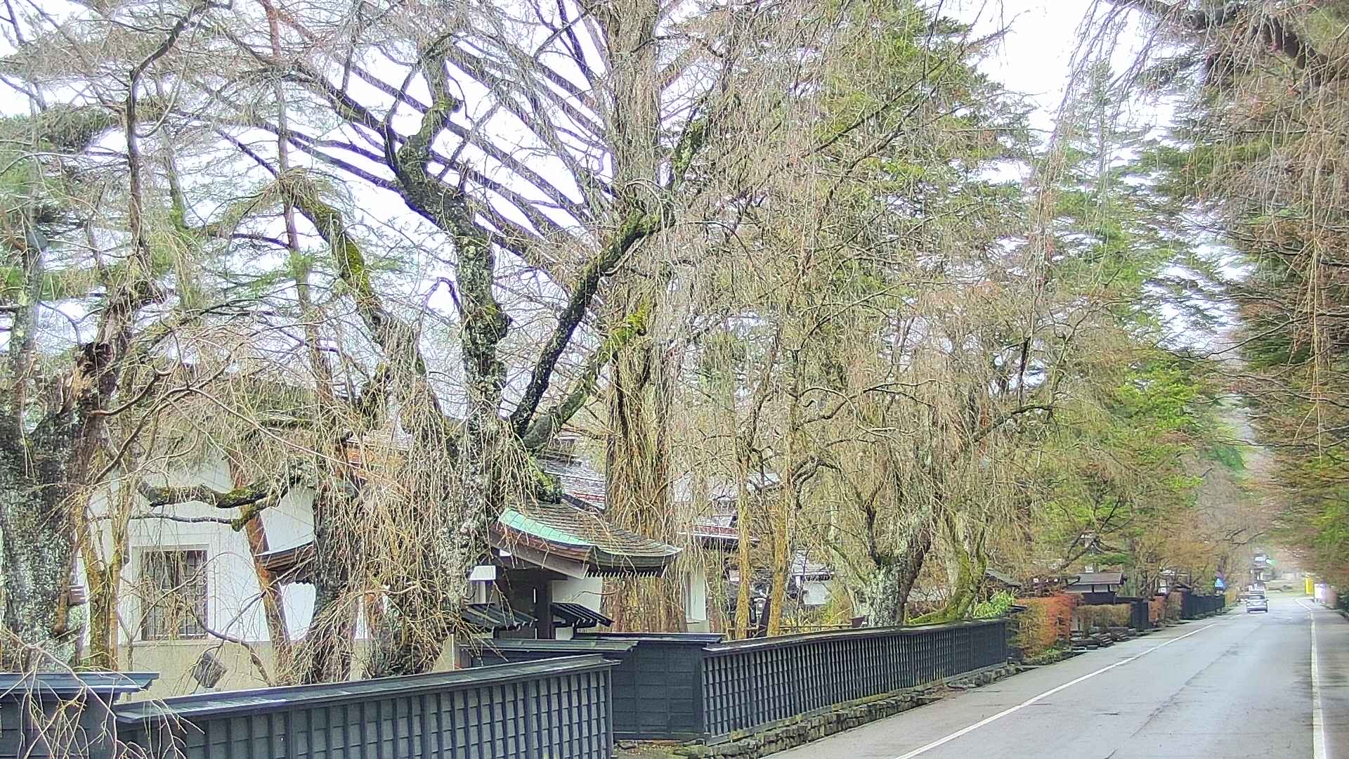 area3-20250416065029.jpg