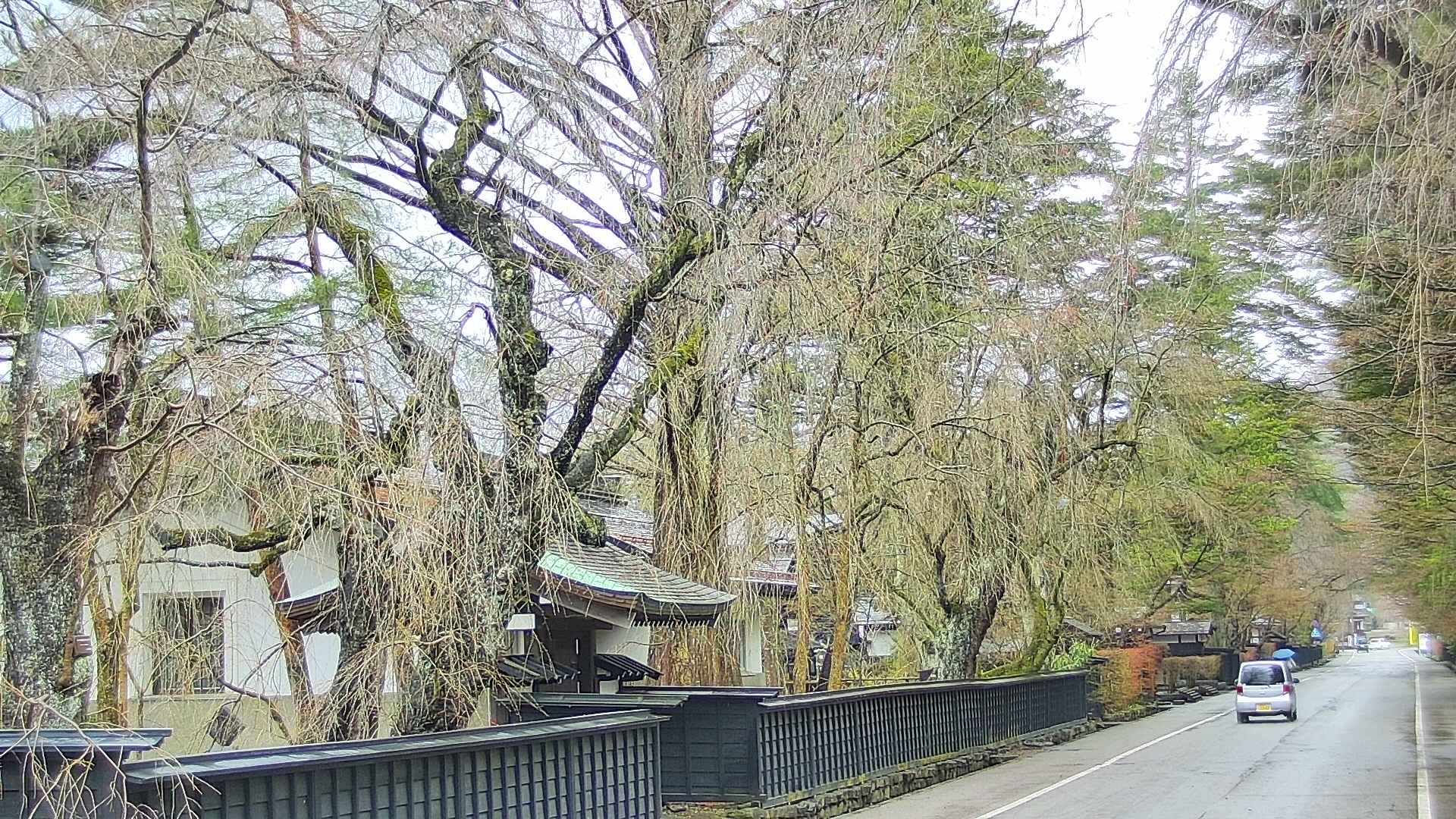 area3-20250416075029.jpg