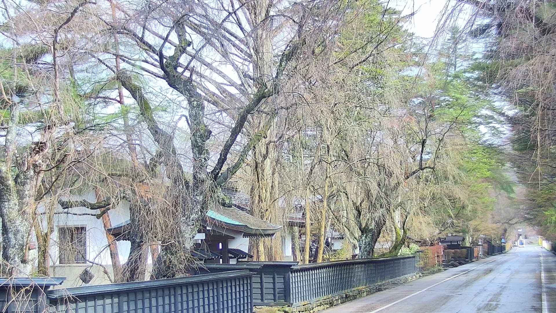 area3-20250416083029.jpg