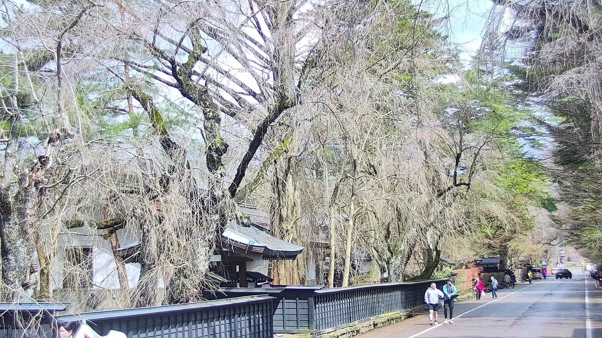 area3-20250416095028.jpg