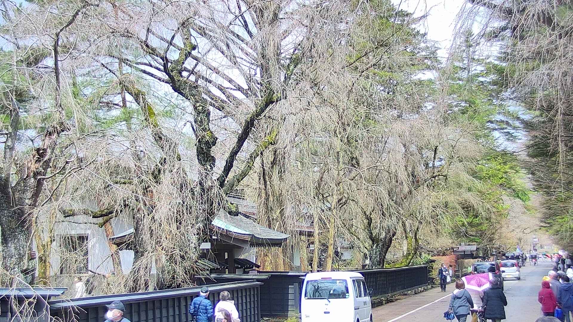 area3-20250416112028.jpg