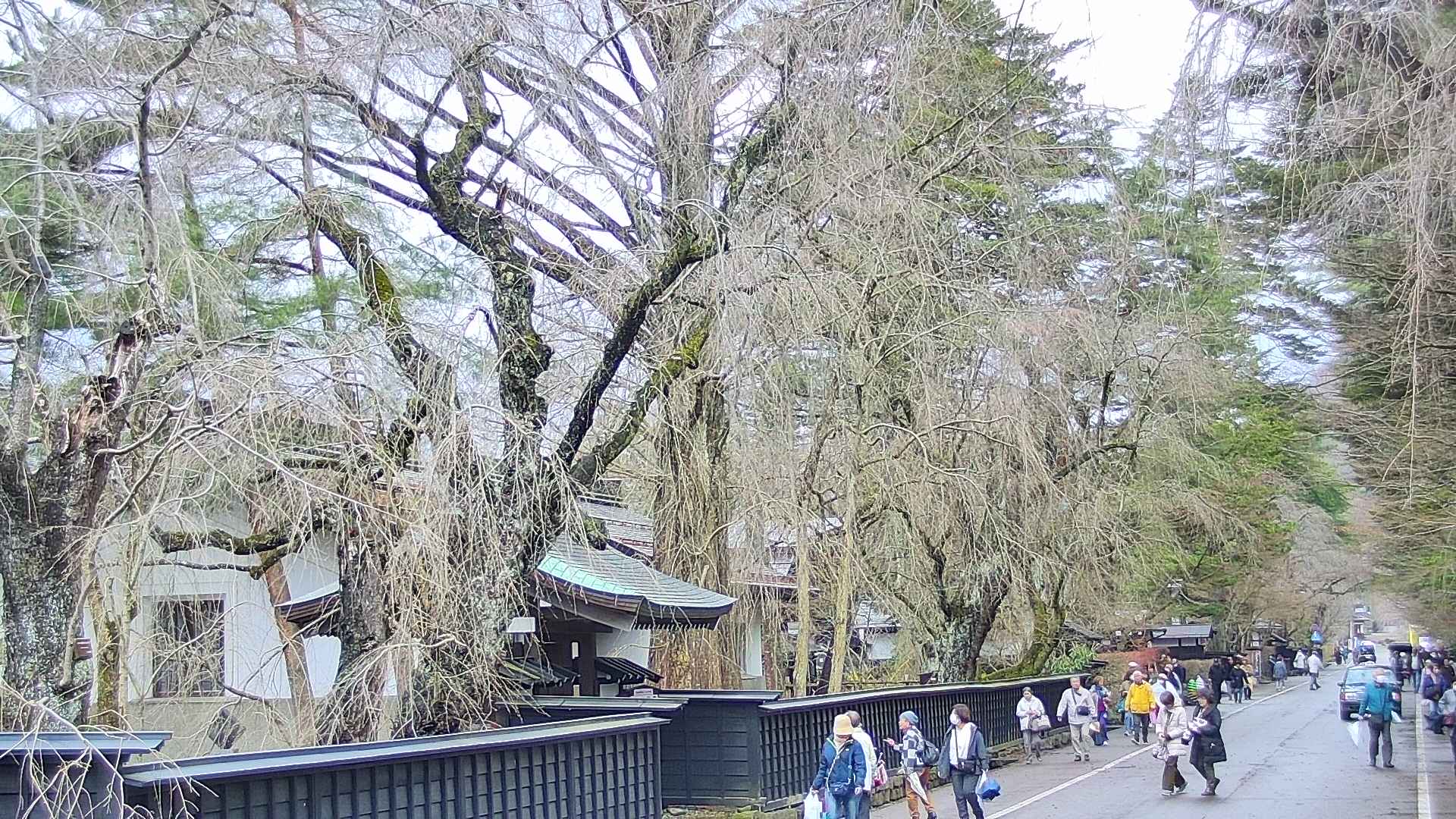 area3-20250416113029.jpg