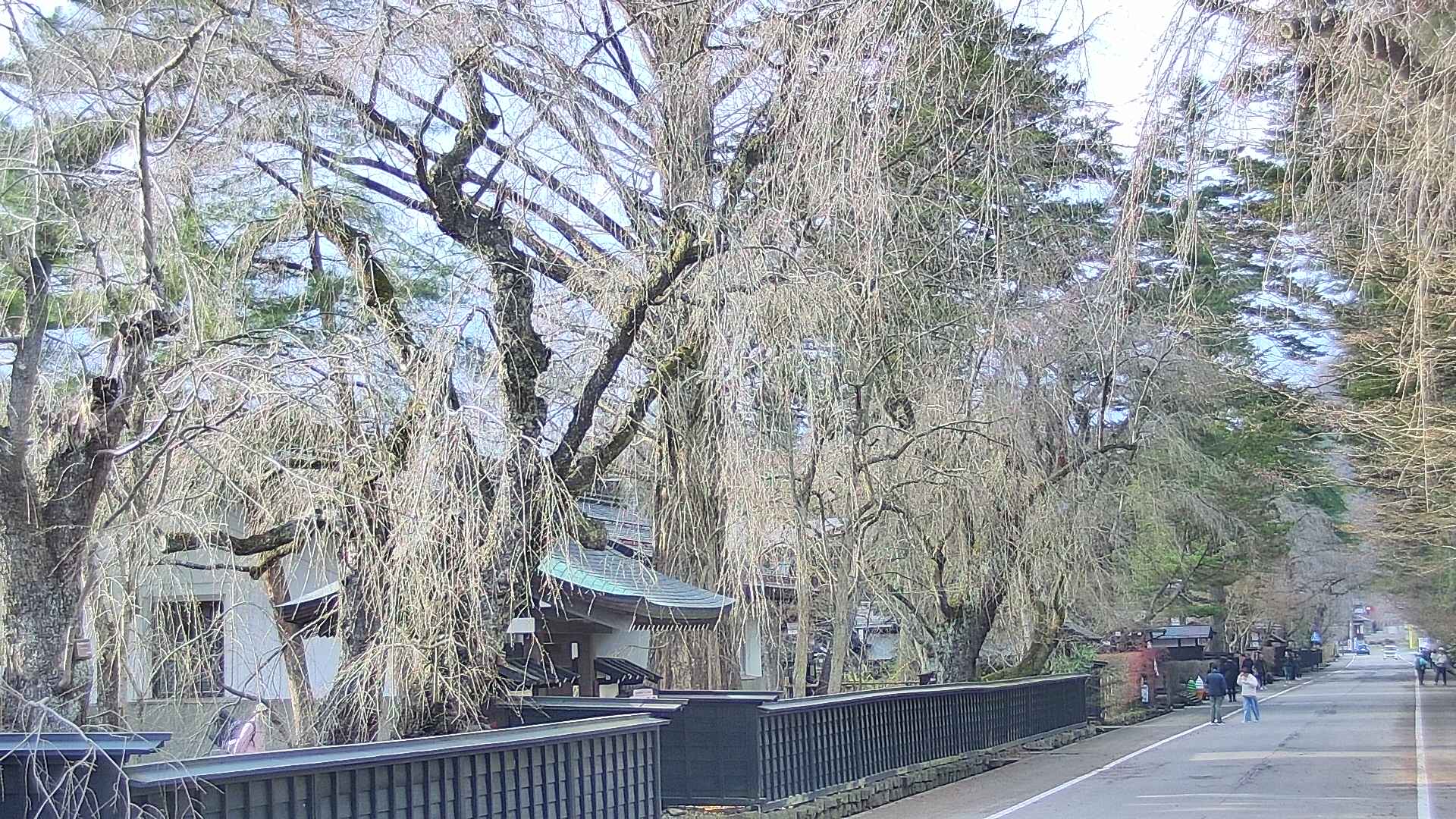 area3-20250416163027.jpg