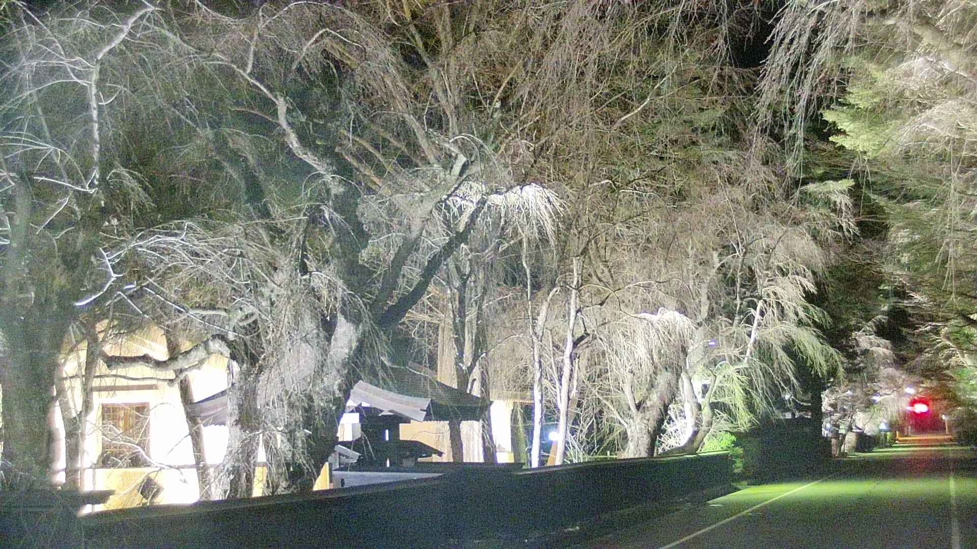 area3-20250416193030.jpg