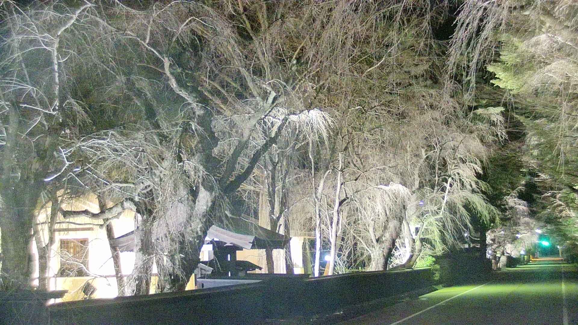 area3-20250416194028.jpg