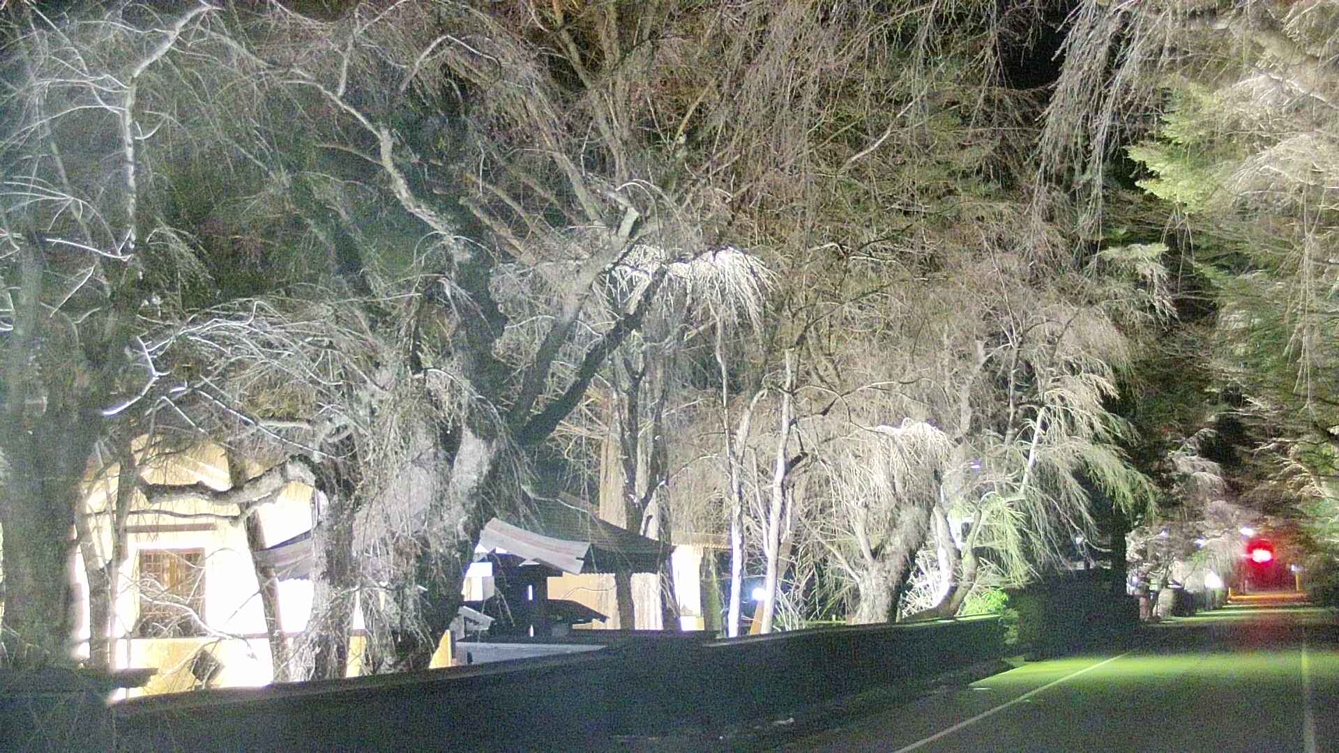 area3-20250416214029.jpg