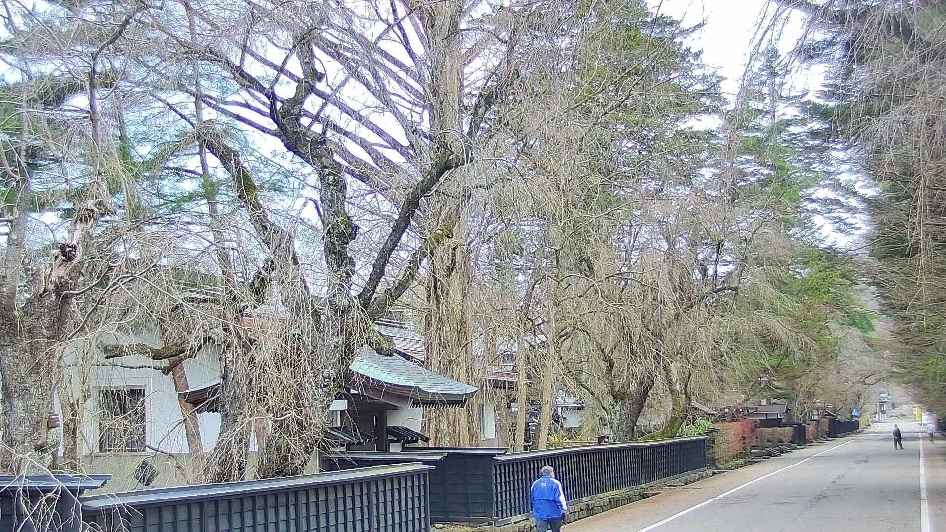 area3-20250417065028.jpg