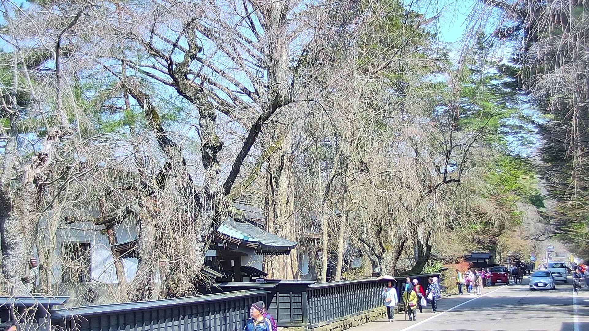 area3-20250417095028.jpg