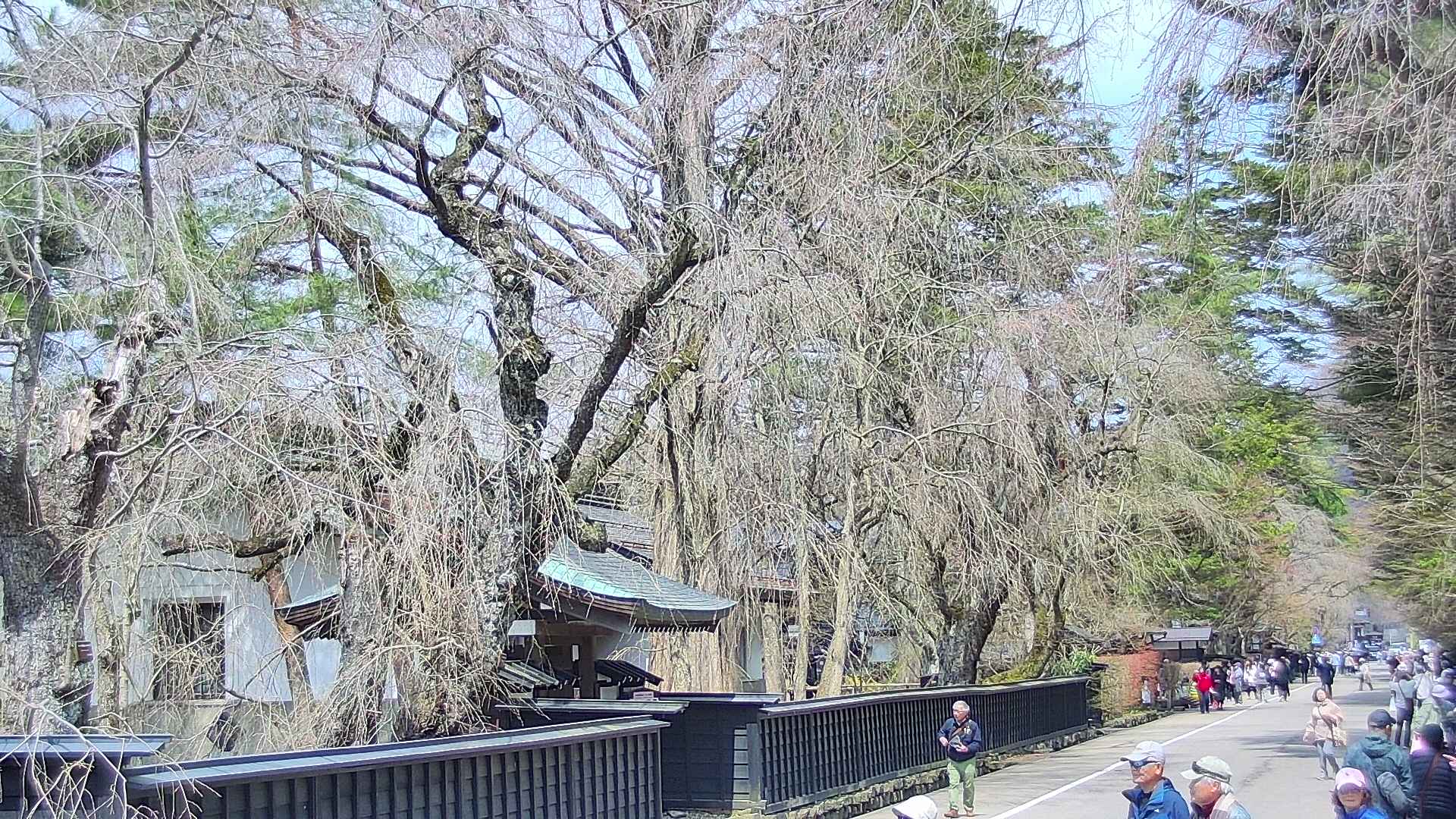 area3-20250417112028.jpg