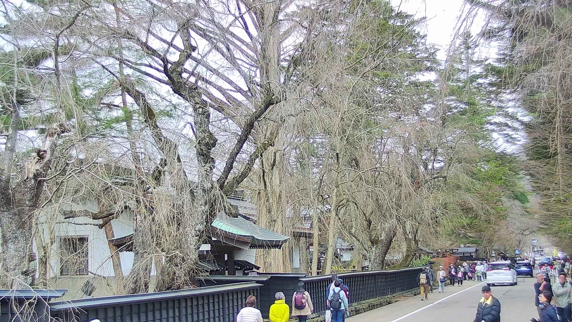 area3-20250417113029.jpg