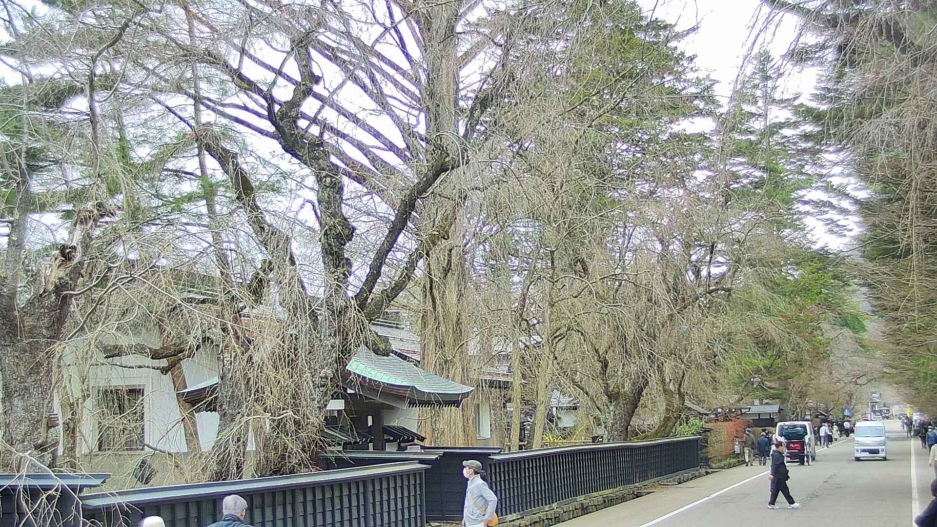 area3-20250417121028.jpg