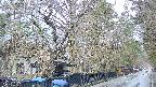 area3-20250417170027.jpg