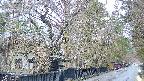 area3-20250417171030.jpg
