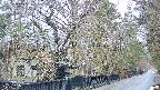 area3-20250417173028.jpg