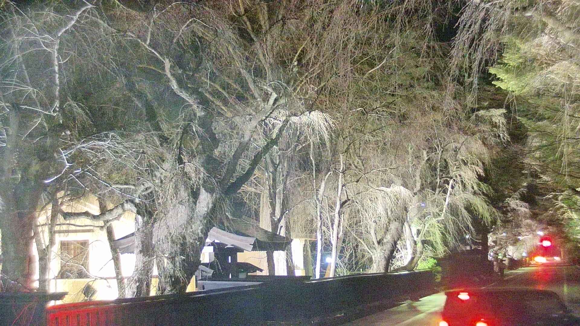 area3-20250417193027.jpg
