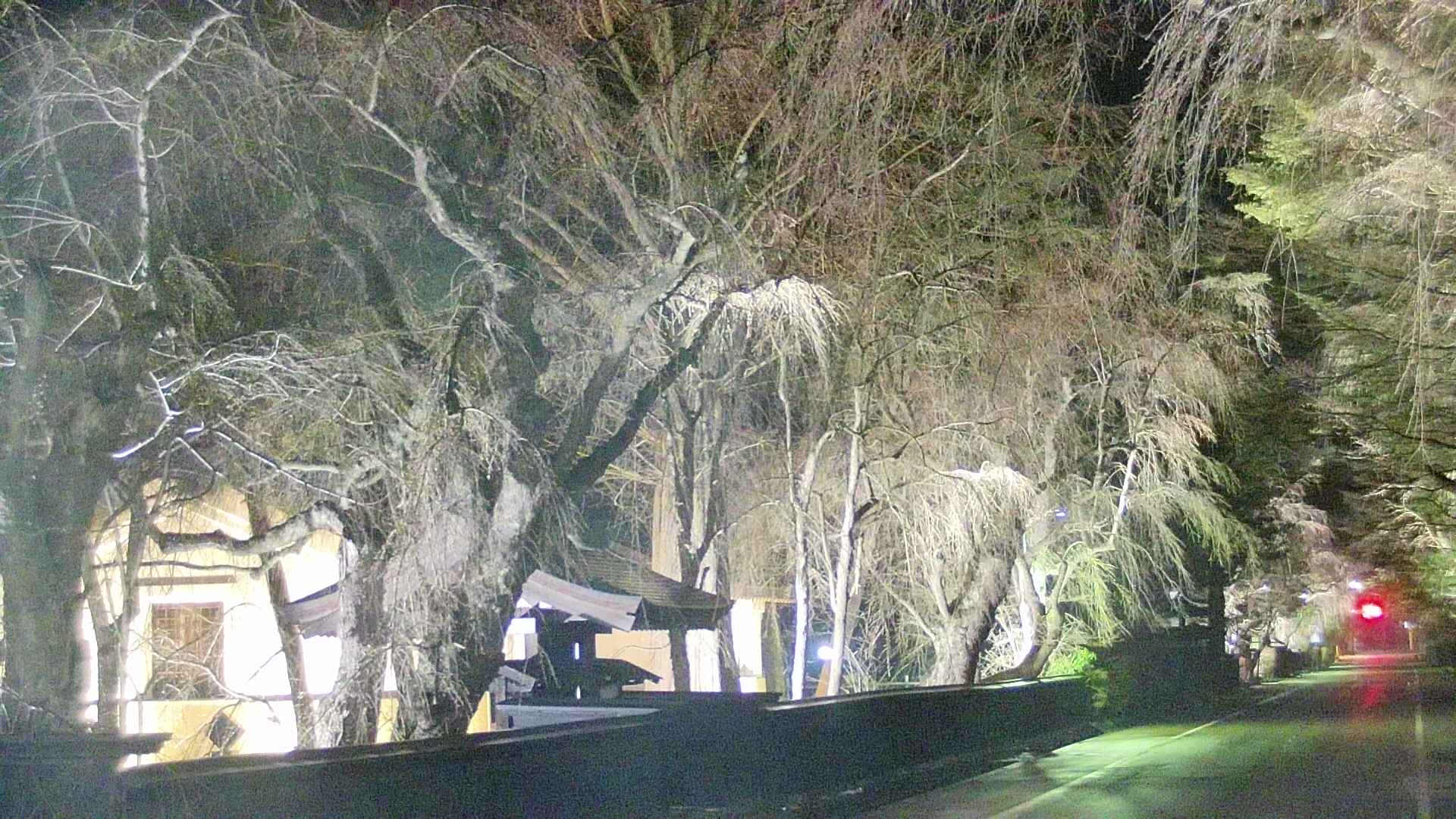 area3-20250417212029.jpg