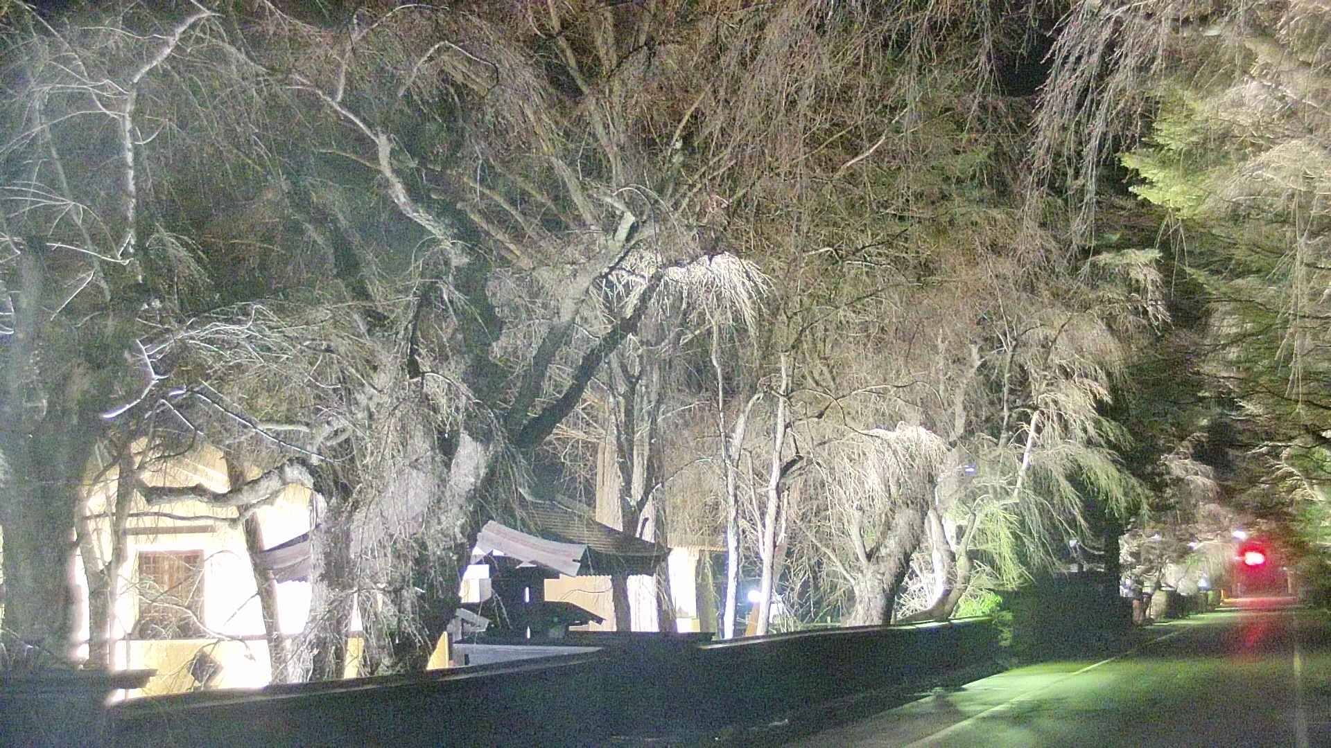 area3-20250417215027.jpg