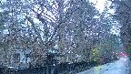 area3-20250418050028.jpg