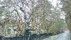 area3-20250418054027.jpg